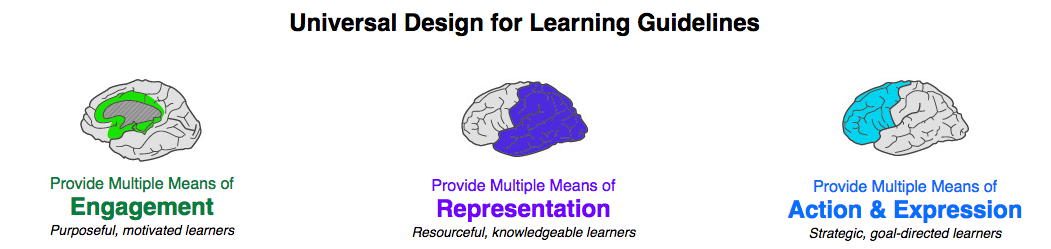 UDL principles