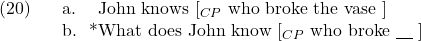 \setcounter{ExNo}{19}  \ex. \a. John knows [$_{CP}$ who broke the vase ] \b. *What does John know [$_{CP}$ who broke {\underline{\hspace{10pt}}} ]