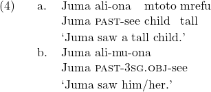 Rendered by QuickLaTeX.com \setcounter{ExNo}{3} \ex. \ag. Juma ali-ona mtoto mrefu\\ Juma \textsc{past}-see child tall\\ \trans `Juma saw a tall child.' \cg. Juma ali-mu-ona\\ Juma \textsc{past}-3\textsc{sg.obj}-see\\ \trans `Juma saw him/her.'