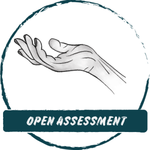 Open Assessment