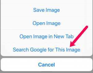 Touching and holding on an image in Chrome on a smartphone gives a menu option to "Search Google for This Image"
