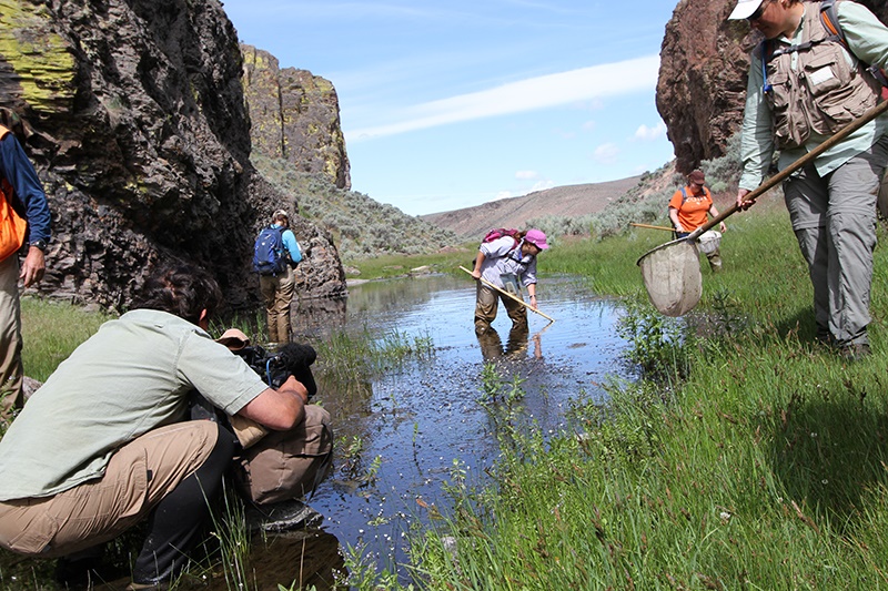 A photo shows a group of community scientists working on a rapid stream, monitoring fish during their migrations to local waterways.