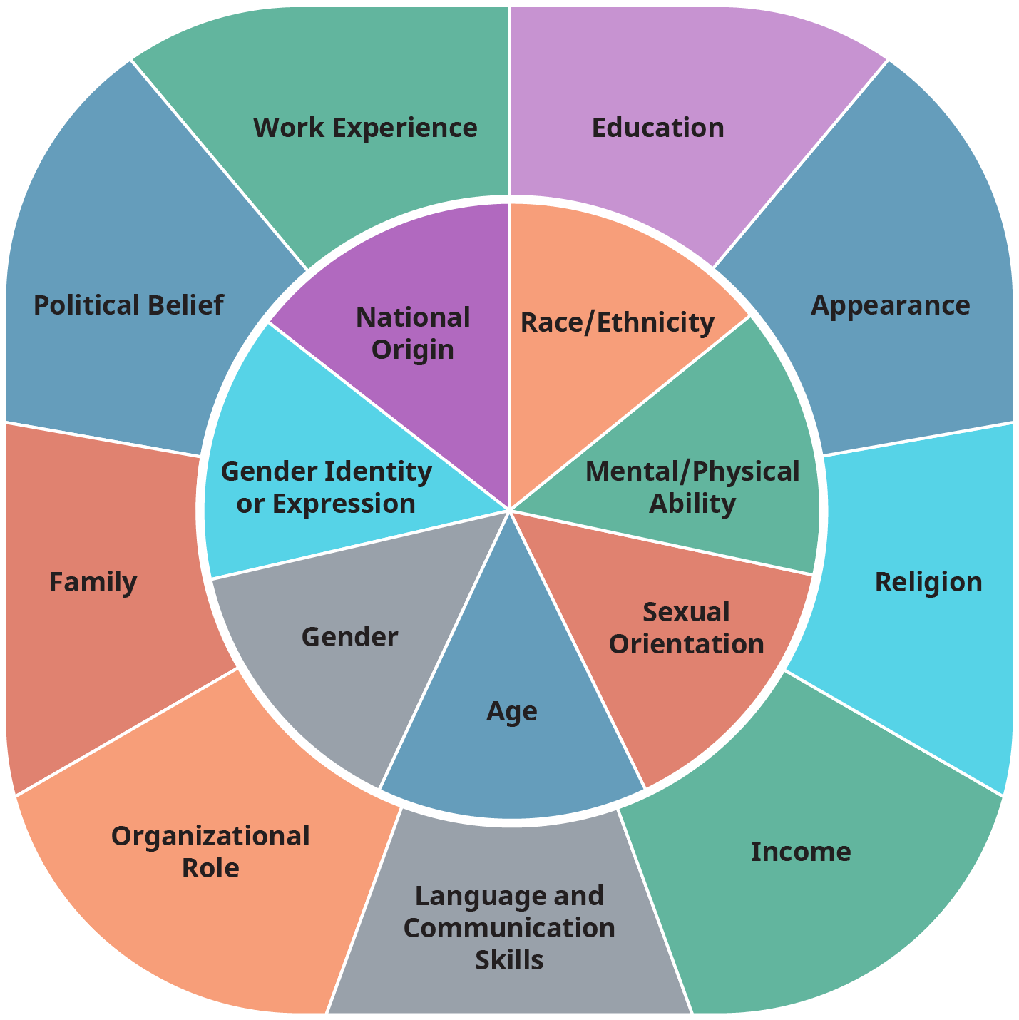 A diagram illustrates the intersectionality wheel divided into two circles one inside the other.