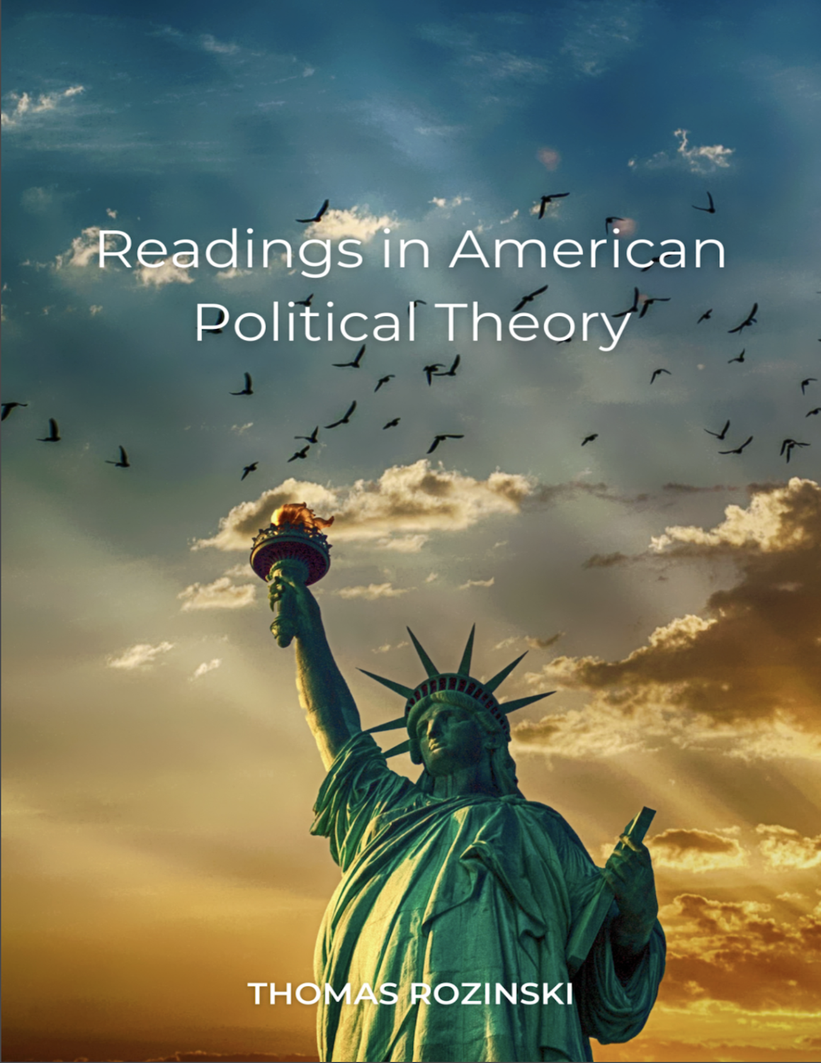 Cover image for Readings in American Political Theory
