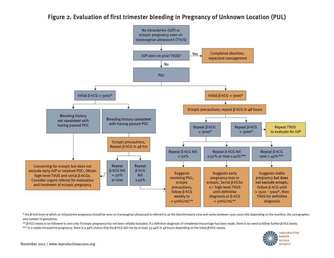 Differential-diagnostic and therapeutic challenges in the management of  ruptured corpus luteum cyst with undiagnosed intrauterine pregnancy in the  early first trimester and ruptured ovarian pregnancy