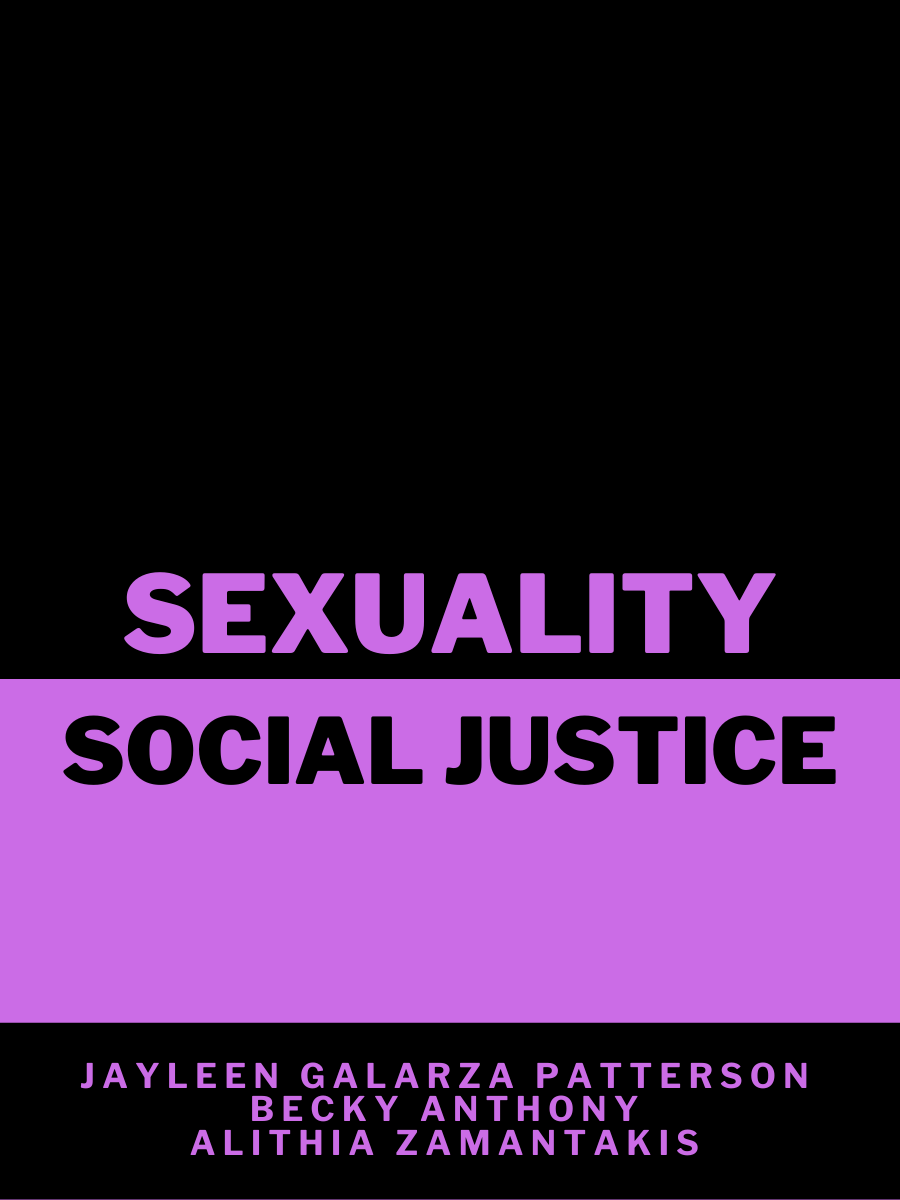 Cover image for Sexuality Social Justice