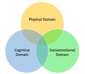 Venn diagram showing the overlap between the 3 domains of development