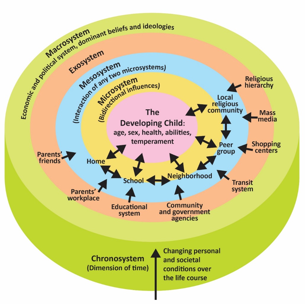 Diagram with 5 concentric circles showing the systems of Bronfenbrenner's theory