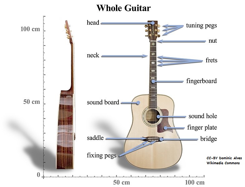 Side and front views of an acoustic guitar