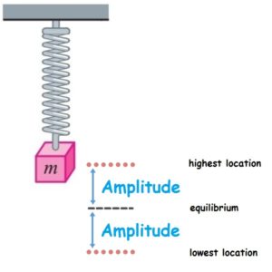Diagram of vertical spring-mass system showing amplitude