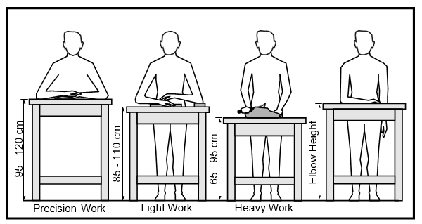 Ergonomics – Agri Food Processing