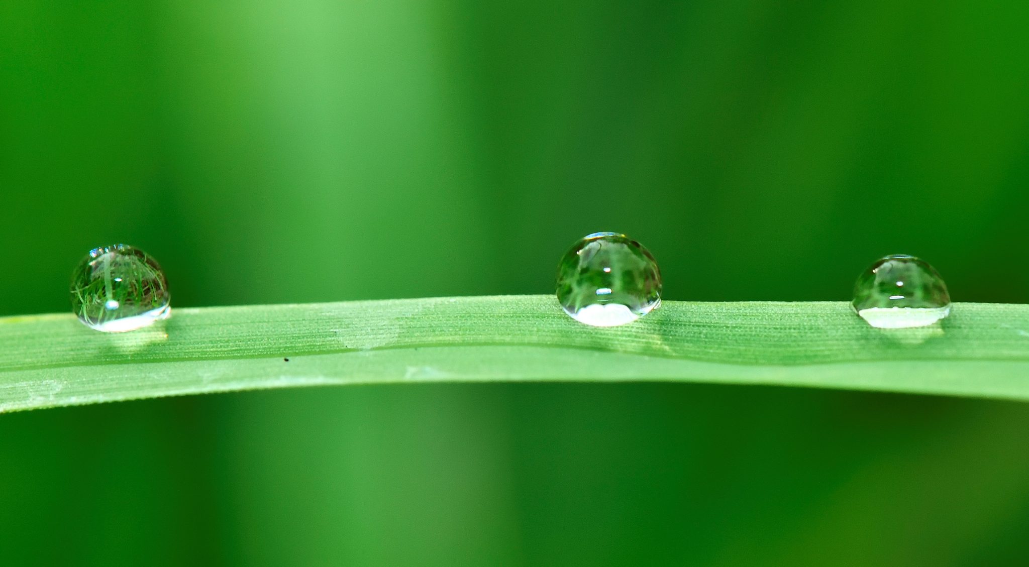 proper-use-of-chemicals-agri-food-processing