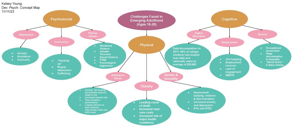 Student constructed map of emerging adulthood from a biopsychosocial perspective