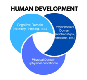 Visual of the three domains.