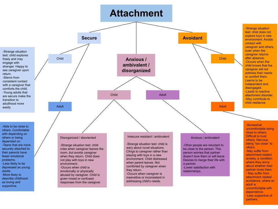 Student constructed concept map.