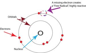 A free oxygen radical is an oxygen atom that, having lost an electron, becomes extremely reactive.