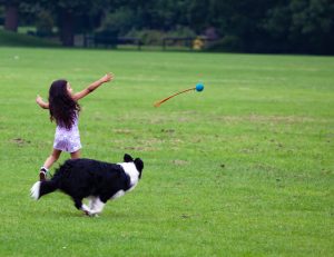 This child is using gross motor skills when attempting to throw the dog's ball. Unfortunately, she is still struggling to use the ball thrower correctly demonstrating some lack of coordination.