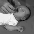 Image of baby rooting