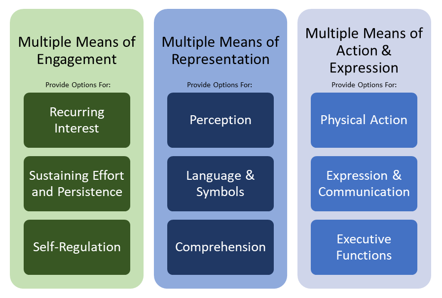 The three domains of the UDL guidelines include Multiple Means of Engagement, Multiple Means of Representation, and Multiple Means of Action & Expression.