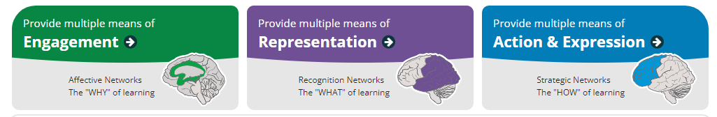 Image of CAST's Universal Design for Learning three principles of multiple means of engagement, representation, and action & expression