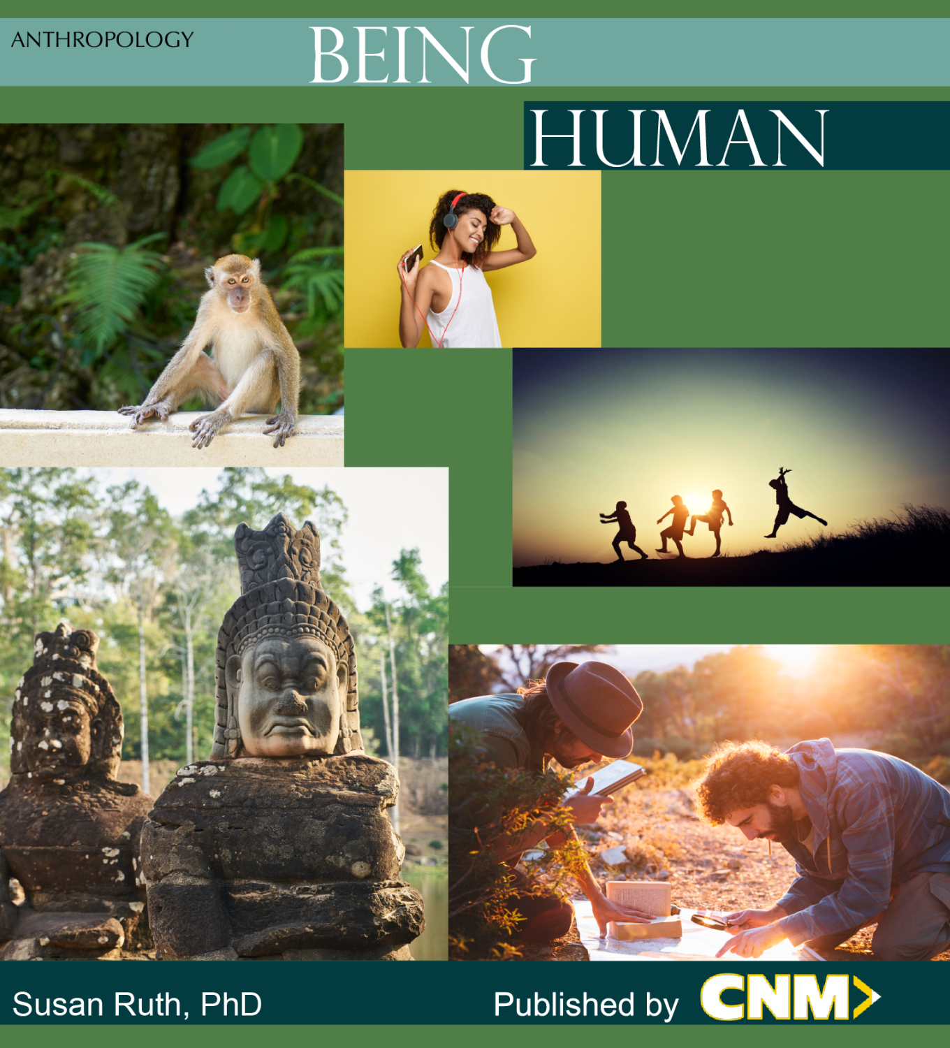 Cover image for Anthropology