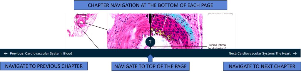 Image provides details about navigating within and between chapters.