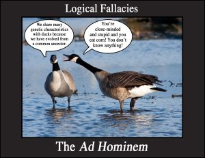 Two geese are talking. One goose points out that they are similar in many ways to ducks. The other duck yells that the first duck is stupid.