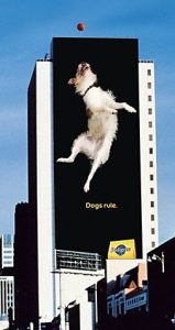 Billboard shows a dog leaping into the air toward a ball in the air.