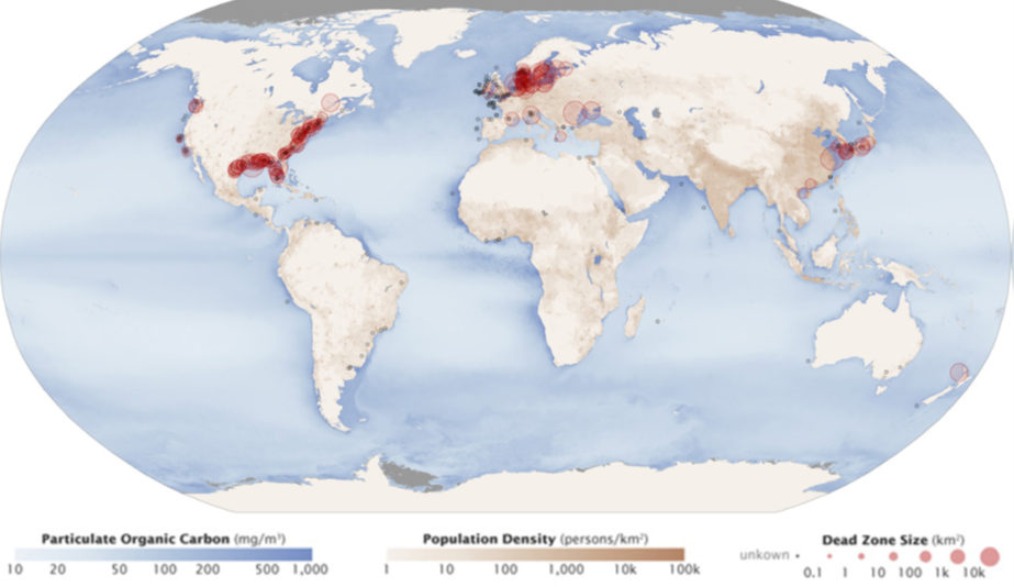 World map shows areas where dead zones occur. Dead zones are present along the eastern and western shore of the United States, in the North and Mediterranean Seas and off the east coast of Asia.