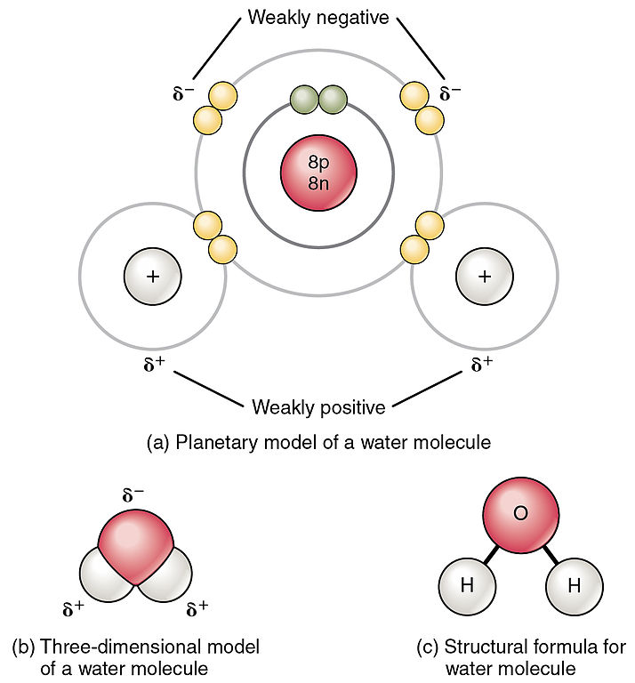 structure of a water molecule showing electrons