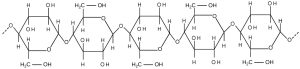 This illustration shows three glucose subunits that are attached together. Dashed lines at each end indicate that many more subunits make up an entire cellulose fiber. Each glucose subunit is a closed ring composed of carbon, hydrogen, and oxygen atoms.