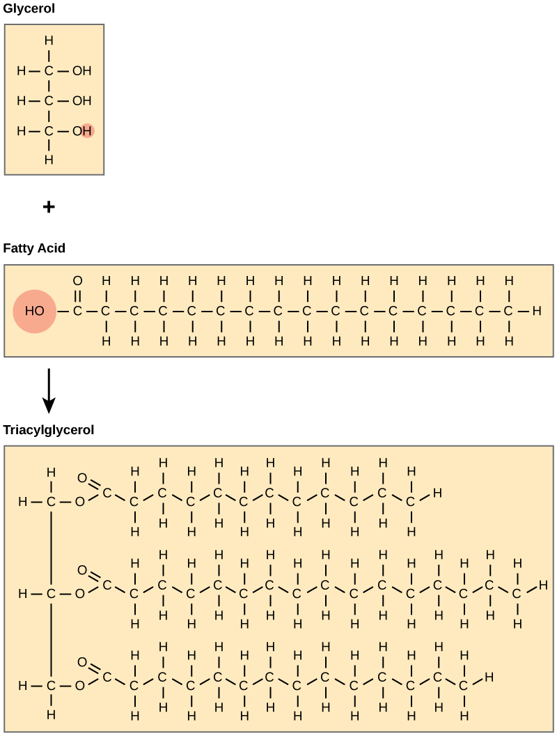 chemical structures