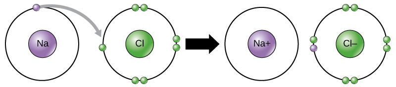 Chlorine donates an electron to sodium.