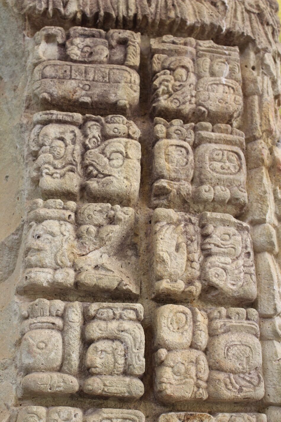 Maya hieroglyphs