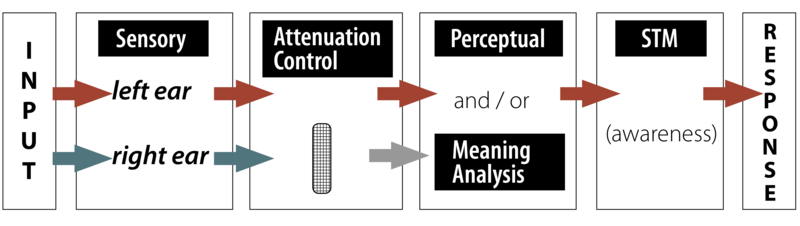 input to response of sensory response