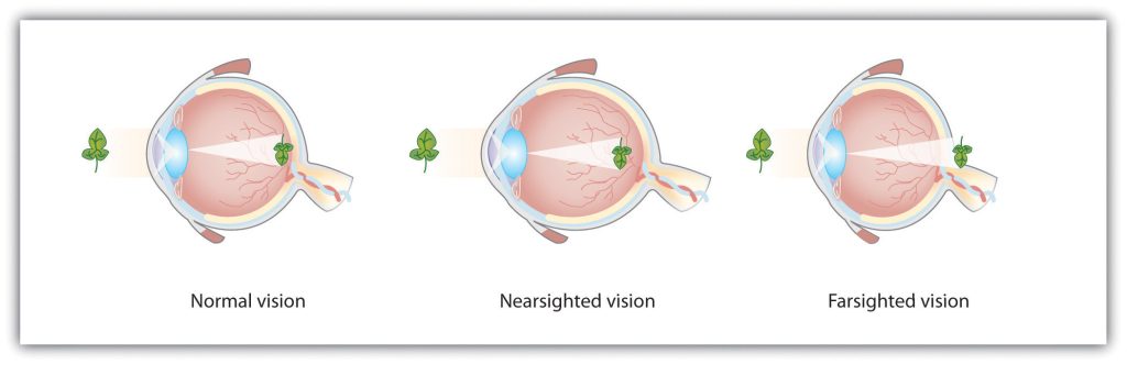 diagram of how vision works