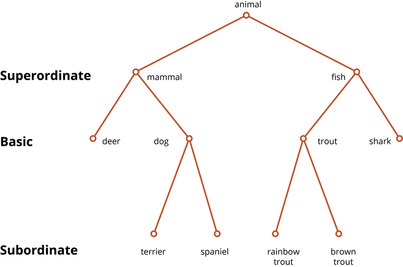 Figure 1. This is a highly simplified illustration of hierarchically organized categories, with the superordinate, basic, and subordinate levels labeled. Keep in mind that there may be even more specific subordinates (e.g., wire-haired terriers) and more general superordinates (e.g., living thing)