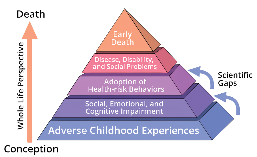 An image of the aces pyramid. From the bottom of the pyramid it starts with adverse childhood experiences, then social, emotional, and cognitive impairment. Next is adoption of health-risk behaviors, then disease, disability, and social problems. The top is early death.