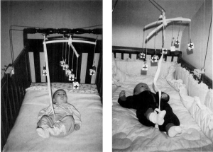 2 babies laying in cribs looking up at a mobile with black and white images.