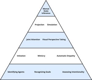 Tools of Theory of Mind displayed as a pyramid with evolutionarily old process lower in the pyramid and evolutionarily recent processes higher in the pyramid. On the bottom level.