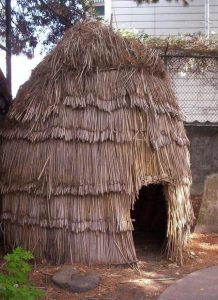 A photo of an Ohlone tule house
