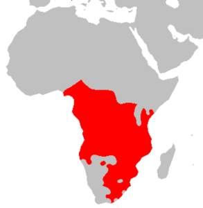 A map showing the area in Africa where Bantu languages are spoken