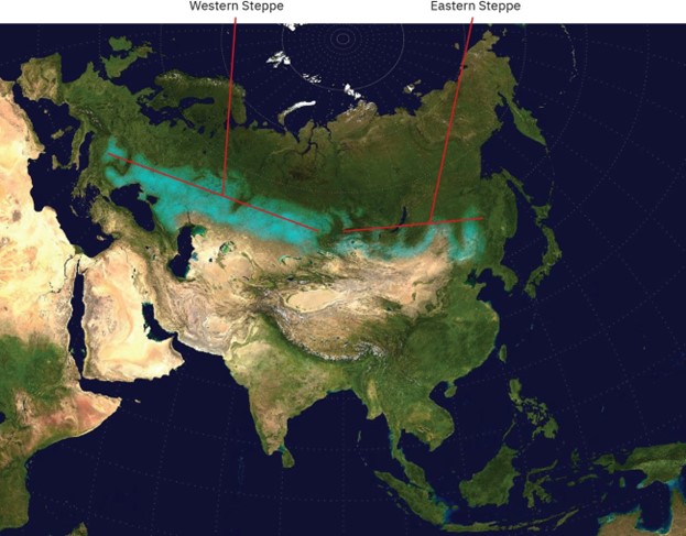 The Eurasian Steppe