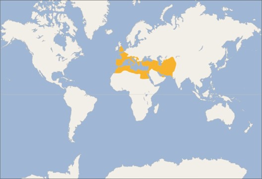 Peoples of the Mediterranean Region