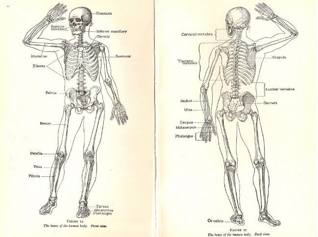 Picture: Vintage ephemera