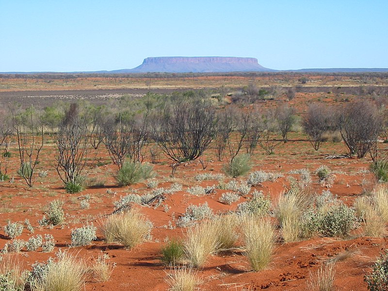 Picture of Australian Outback with arid dirt and short scrub brushes and Mount Conner in the distance