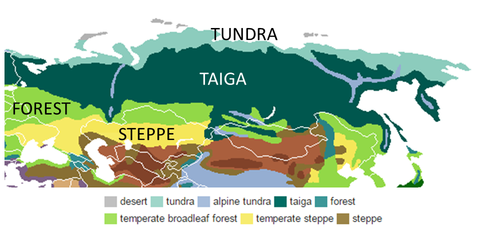 Лес тайга карта