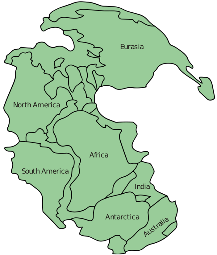 Map of Pangaea with Modern Continental Outlines