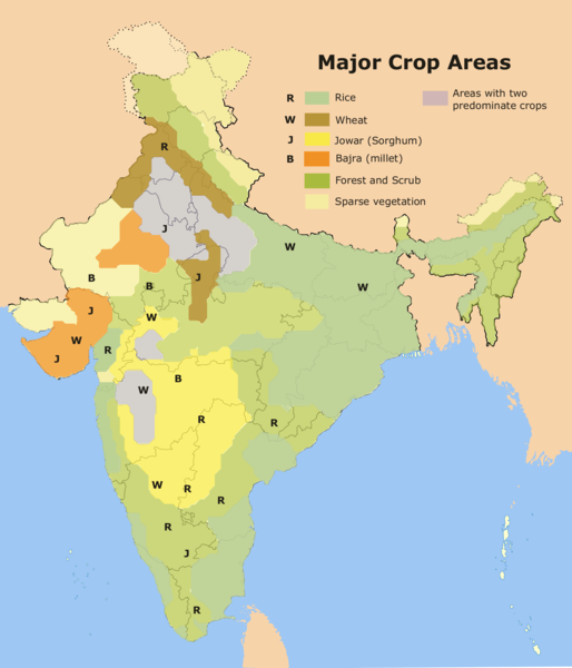 Map of the major crop areas of India
