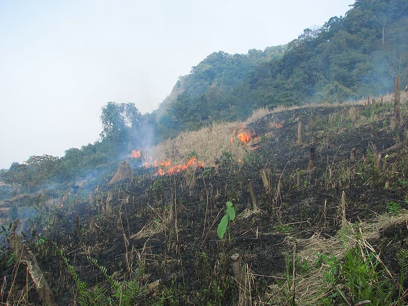 A patch of cleared land, still slightly burning, in Arunachal Pradesh, India